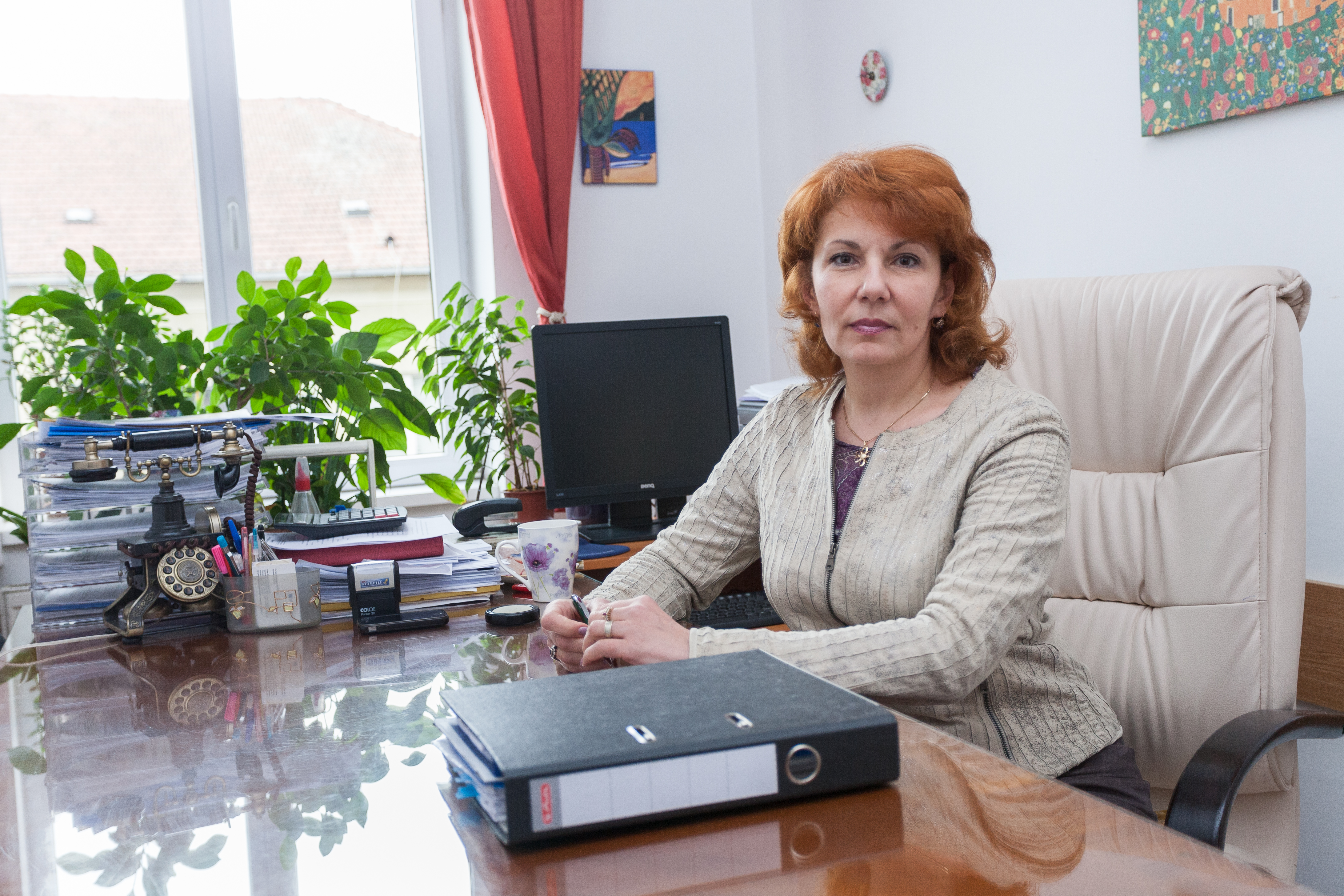 Prof. univ. dr. Cristina Ghervan